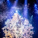 이은결 더 일루션 마스터피스 이미지