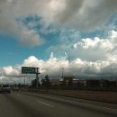 코스코마켓 이미지