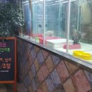 가나애견용품 이미지