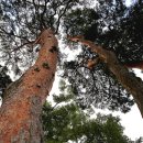 대곡마을 이미지