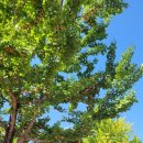 헤이트먼데이 성서점 이미지