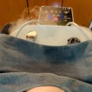 디에르퍼스트 사거리1 | 광명사거리미용실 다움헤어 출산 손상모 케어 클리닉 후기