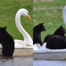 유유자적 이미지