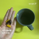 [허벌라이프] 8월 슈퍼HOM 후기