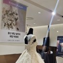 seoyeon뷰티