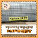 흙놀이공방마음 | 아이와 가기 좋았던 미스터허브식물공방, 고양시 식물마켓 후기