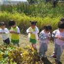 상일농장 이미지