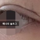 한땀차이 이미지