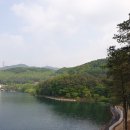 화장동 공영주차장 둘레 | [경기/파주] 마장호수 출렁다리&amp;둘레길 / 파주 걷기 좋은 호수와 둘레길 주차장 주차 꿀팁대방출