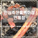 때깔 | 수원 인계동 정육점 추천｜양갈비 프랜치랙·우대갈비 때깔 좋은 안심축산물판매점 인계점 후기