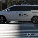 타다 이미지