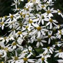 경일목장 이미지