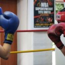 삼성복싱클럽 이미지