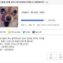 춘이랑