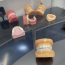 뉴서울치과의원 이미지