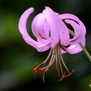 번창행정사 이미지