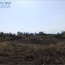 상모리-11 이미지