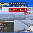 일본 NHK 재난방송에서 한국어를 뺏다는 글의 팩트 이미지
