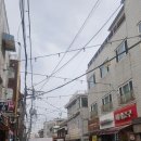 주머니열개 | 쌍문 마이머랭 두바이 쫀득쿠키 택배 실패 재오픈런 후기 번호표 웨이팅 시간