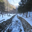 중부-을지-중부-1039 | 문경 주흘산~문경새재 과거길따라 영남의 관문 ♣