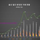 01-48 동구 이미지