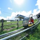 알펜시아리조트 이미지