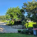 용인별바라기 이미지