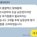 돌담동물의료센터 이미지