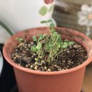 호텔마들렌 이미지