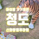 청도 아이랑 가기좋은 청도신화랑풍류마을 후기