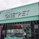 대구고양이분양 원펫 이미지