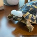 남식농장 이미지