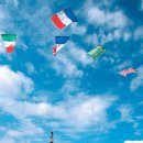 제일초등학교 이미지