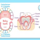연세미치과의원 이미지