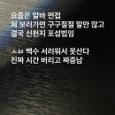 흰 나비는 도무지 바다가 무섭지 않다