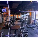 엑스 짐 이미지