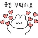헤이셔터 이미지