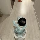 만능카 | 파미 공룡 무소음 스프링카 세트 사용 후기 - 점퍼루부터 붕붕카까지 다 되는 만능 장난감(구매 전 필독)