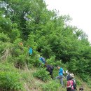 삼승면사무소 이미지