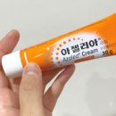 아젤리아