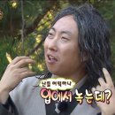 소싯적돼지 이미지