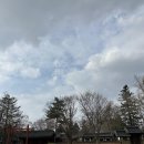 용실 | 전주 경기전 후기 입장료 산책 코스 한옥 감성 여행