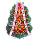 홍시영치과의원 이미지