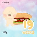 백안리의 아침 | 우리의 3월💜