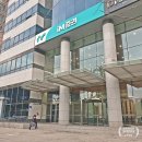 이석상사 | 여의도 회식장소 야마야 더현대 술집 모츠나베와 시원한 생맥주