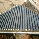 운산태양광발전소 이미지