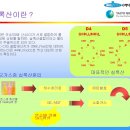 바이오가스의 실록산 알아보기 이미지