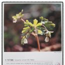 순창공공도서관 이미지