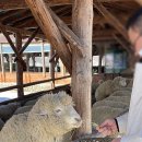 해인목장 이미지