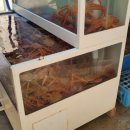 장사항홍게사랑 이미지